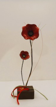 IMG_1241.jpg