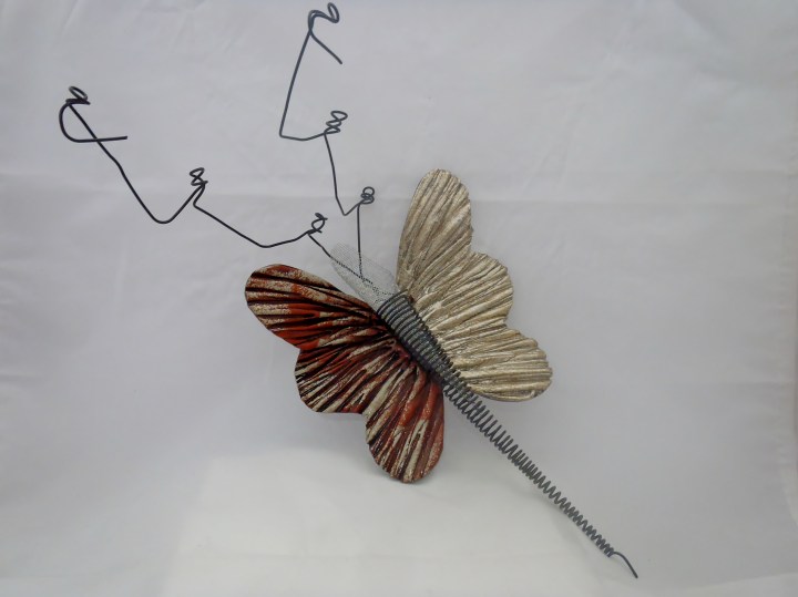 PA251247.jpg