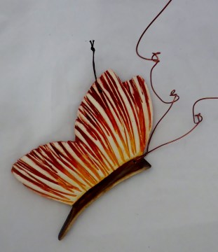 PB061351.jpg